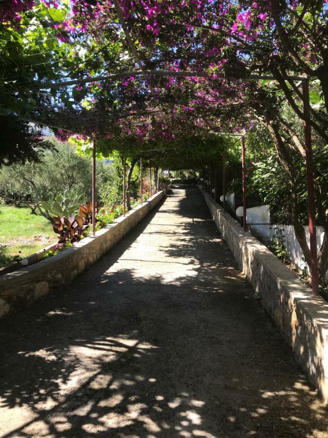 Knossos Aparthotel Panormos  Luaran gambar